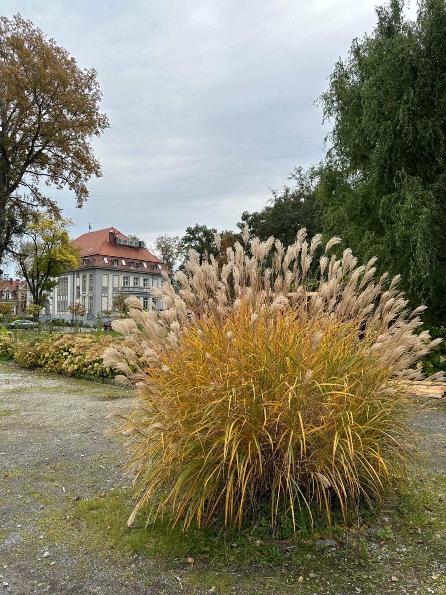 Hotel Willa Starosty Międzyrzecz Buitenkant foto